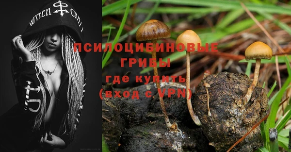 PSILOCYBIN Верхнеуральск