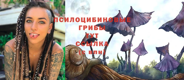 героин Бородино