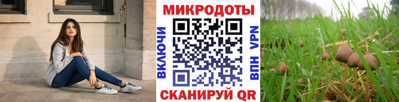 Псилоцибиновые грибы MAGIC MUSHROOMS  дарнет шоп  МЕГА ONION  Тюмень 